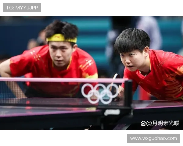 乒乓球运动的魅力与发展探索：从竞技场到全民健身的全面解析