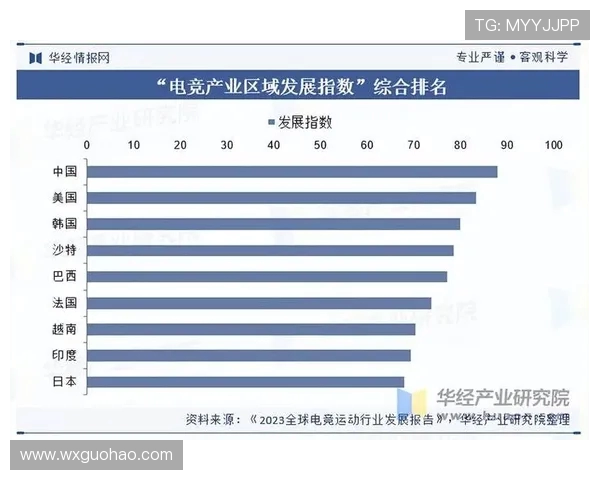 全球电子竞技产业发展趋势与青年文化融合的深度观察与未来展望