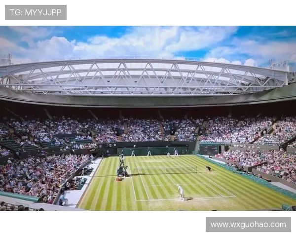 网球运动的历史发展与技术演变:从草地到硬地的挑战与突破