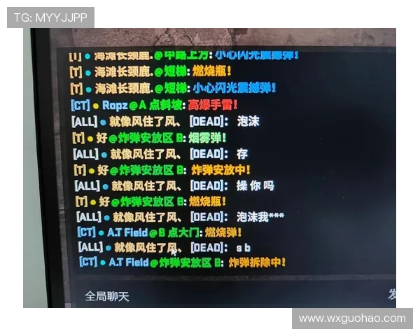 CSGO意识排行榜揭晓V5强势跻身前四名引发热议