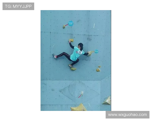 北京攀岩队在全国攀岩团队协作排行榜中荣获第七名的佳绩