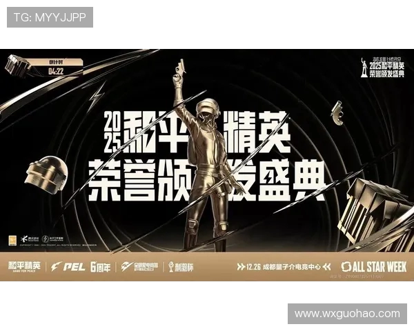 和平精英盛典：深入解析RNG战队的无穷魅力与实力之源