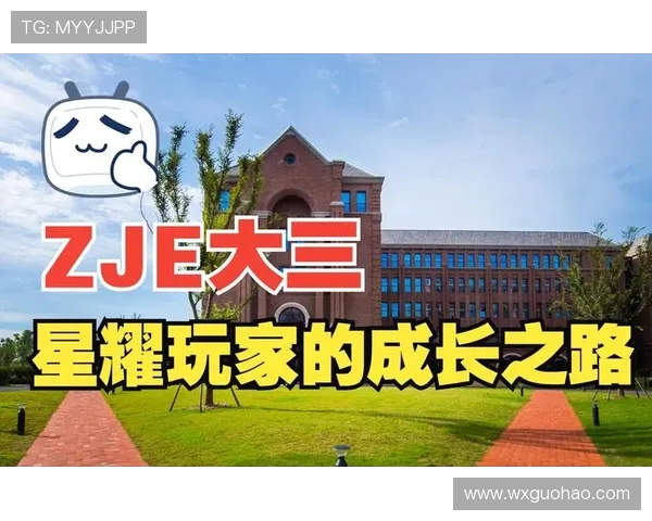 重庆羽毛球队运营革新之路探秘与未来发展展望