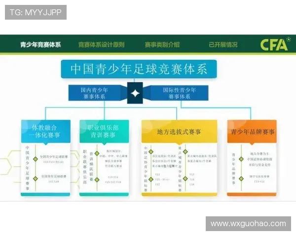 探讨现代足球俱乐部运营模式与青训体系发展趋势研究的综合分析报告