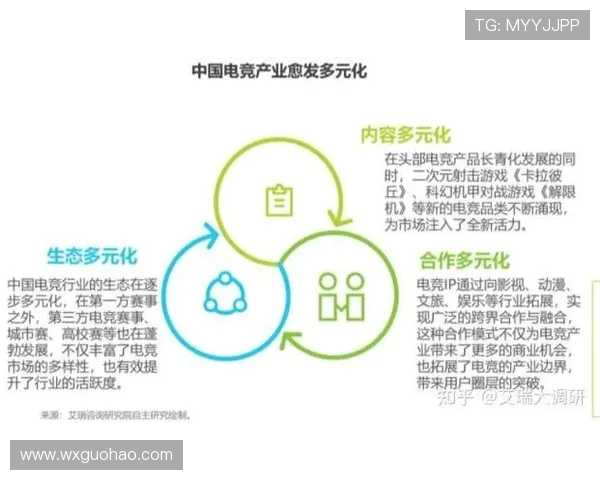 电子竞技发展现状与未来趋势分析：技术创新与全球化影响下的新机遇