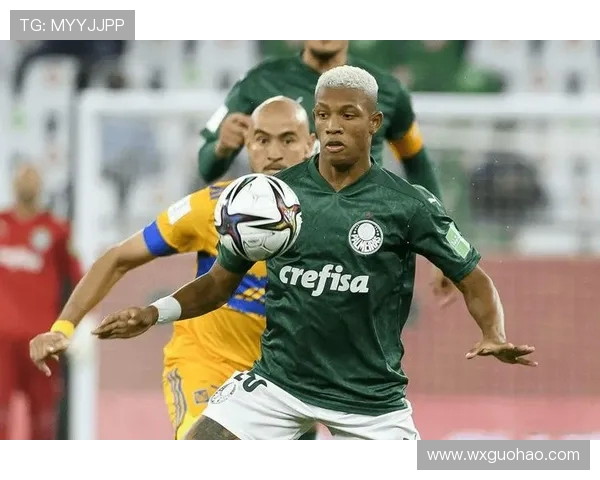 亚松森呱啦与老虎竞技的激烈对决揭示足球战术与团队精神的较量