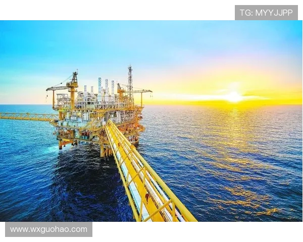 凤凰重生与斯沃普的对决探讨未来数字资产的创新与挑战