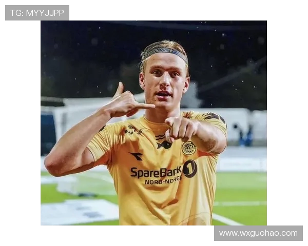 哈兰德：从天才少年到足坛巨星的崛起之路与未来展望